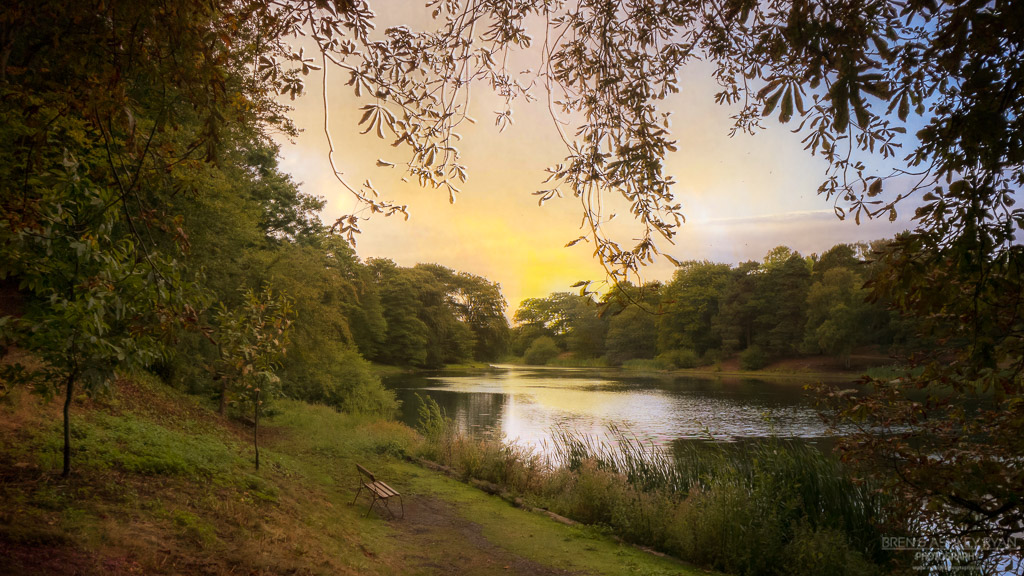 The lake at Nostell