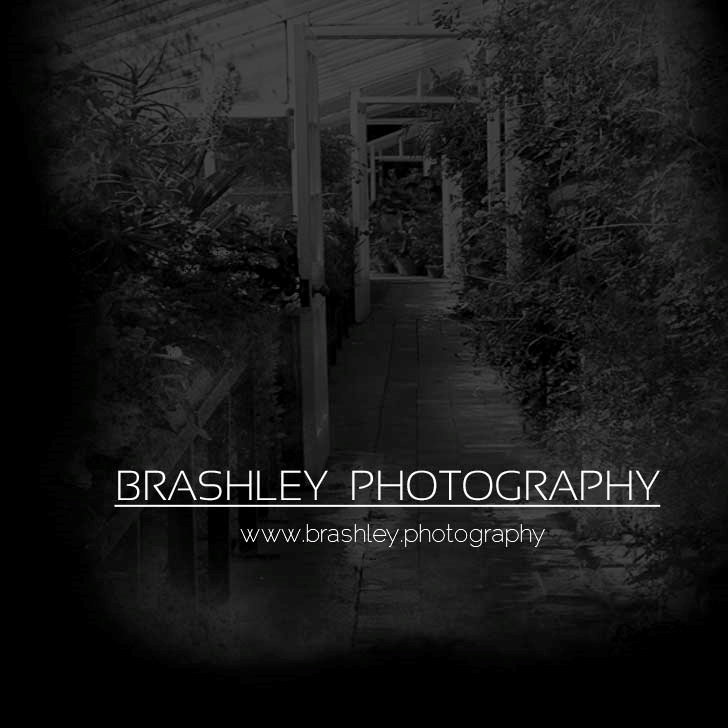 BRASHLEY  PHOTOGRAPHY